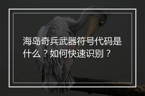 海岛奇兵武器符号代码是什么？如何快速识别？