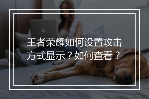 王者荣耀如何设置攻击方式显示?如何查看?