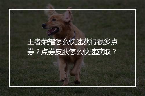 王者荣耀怎么快速获得很多点券？点券皮肤怎么快速获取？
