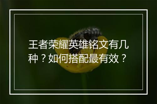 王者荣耀英雄铭文有几种？如何搭配最有效？