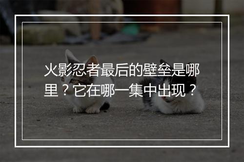 火影忍者最后的壁垒是哪里？它在哪一集中出现？