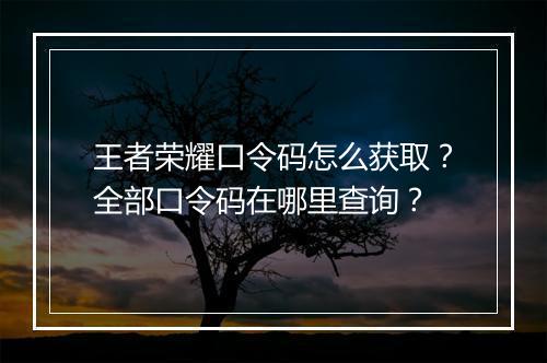 王者荣耀口令码怎么获取？全部口令码在哪里查询？