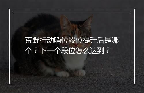 荒野行动哨位段位提升后是哪个？下一个段位怎么达到？