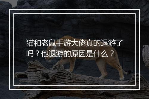 猫和老鼠手游大佬真的退游了吗？他退游的原因是什么？