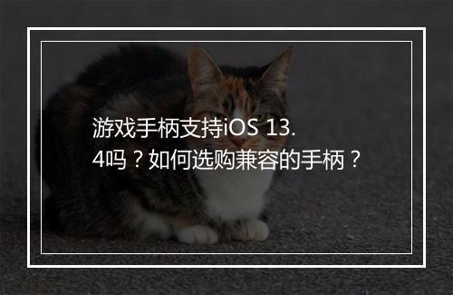 游戏手柄支持iOS 13.4吗？如何选购兼容的手柄？
