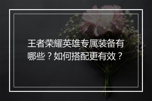 王者荣耀英雄专属装备有哪些？如何搭配更有效？