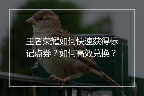 王者荣耀如何快速获得标记点券？如何高效兑换？