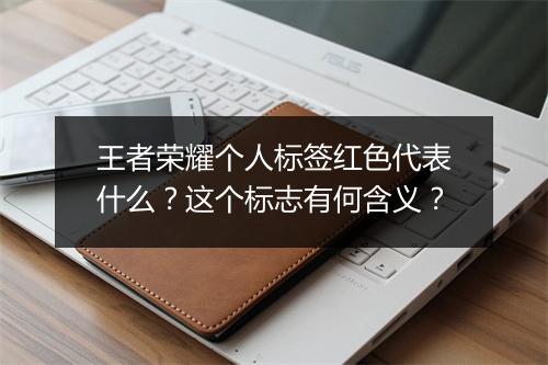 王者荣耀个人标签红色代表什么？这个标志有何含义？