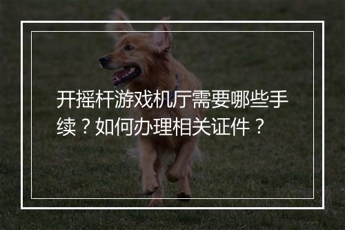 开摇杆游戏机厅需要哪些手续？如何办理相关证件？