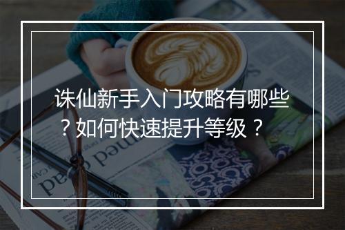 诛仙新手入门攻略有哪些？如何快速提升等级？