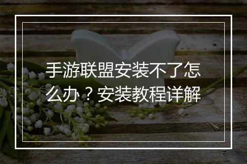 手游联盟安装不了怎么办？安装教程详解