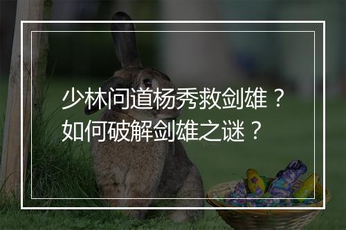 少林问道杨秀救剑雄？如何破解剑雄之谜？
