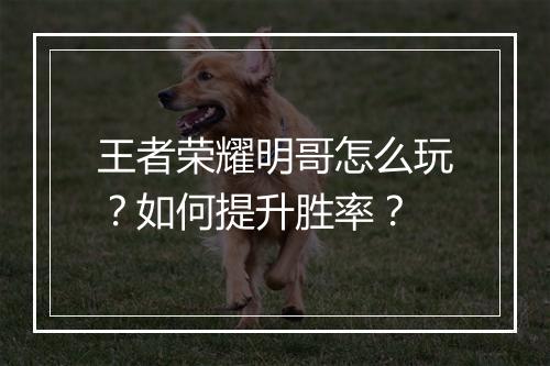 王者荣耀明哥怎么玩？如何提升胜率？