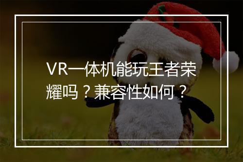 VR一体机能玩王者荣耀吗?兼容性如何?