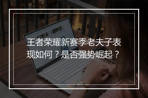 王者荣耀新赛季老夫子表现如何？是否强势崛起？
