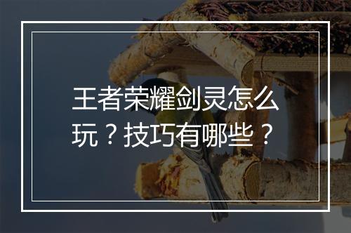 王者荣耀剑灵怎么玩？技巧有哪些？