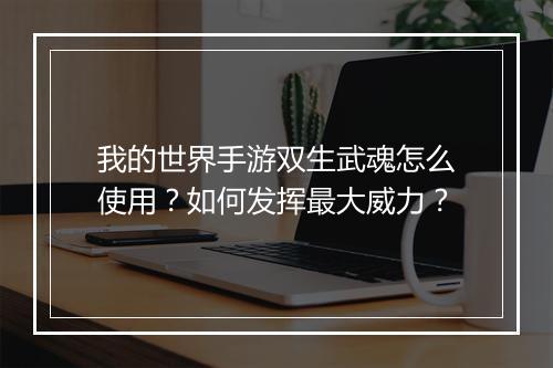我的世界手游双生武魂怎么使用？如何发挥最大威力？