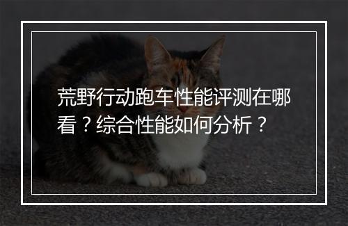 荒野行动跑车性能评测在哪看？综合性能如何分析？