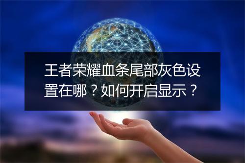 王者荣耀血条尾部灰色设置在哪？如何开启显示？