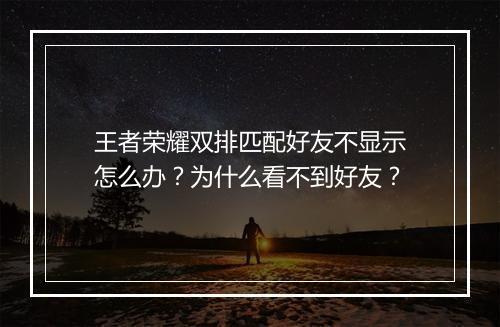 王者荣耀双排匹配好友不显示怎么办？为什么看不到好友？