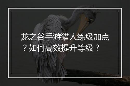 龙之谷手游猎人练级加点？如何高效提升等级？