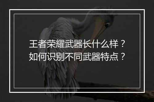 王者荣耀武器长什么样？如何识别不同武器特点？
