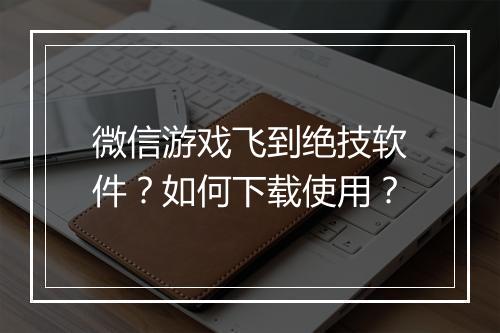 微信游戏飞到绝技软件？如何下载使用？