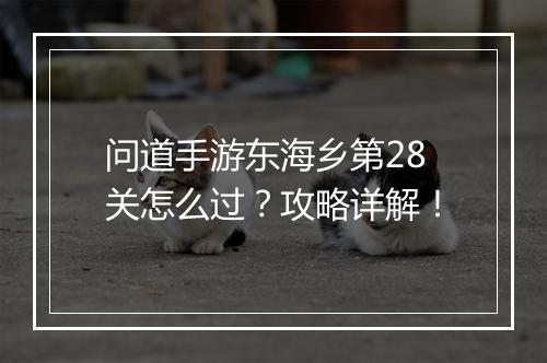 问道手游东海乡第28关怎么过？攻略详解！