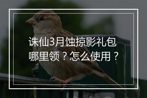 诛仙3月蚀掠影礼包哪里领？怎么使用？