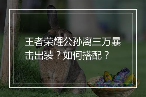 王者荣耀公孙离三万暴击出装？如何搭配？