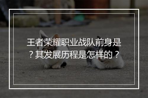 王者荣耀职业战队前身是？其发展历程是怎样的？
