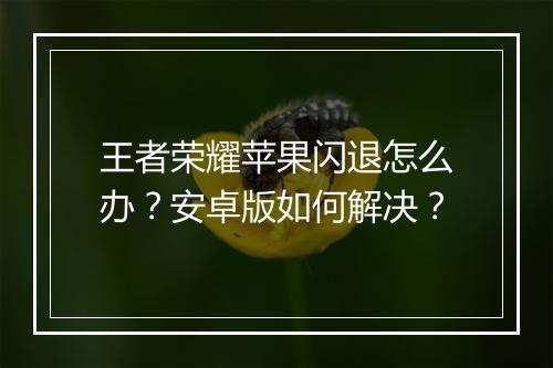 王者荣耀苹果闪退怎么办？安卓版如何解决？
