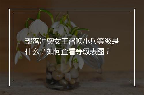部落冲突女王召唤小兵等级是什么？如何查看等级表图？