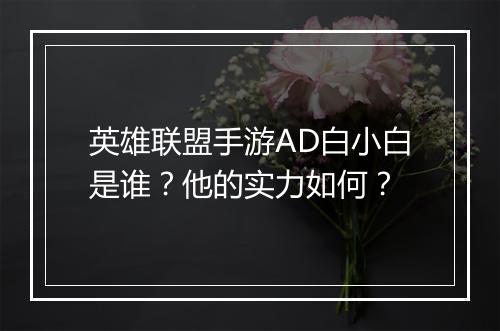 英雄联盟手游AD白小白是谁？他的实力如何？