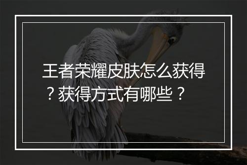 王者荣耀皮肤怎么获得?获得方式有哪些?