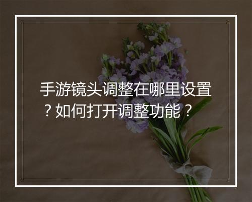 手游镜头调整在哪里设置？如何打开调整功能？