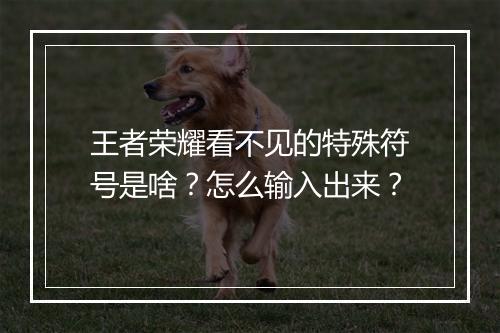 王者荣耀看不见的特殊符号是啥？怎么输入出来？