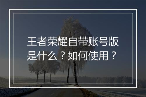 王者荣耀自带账号版是什么？如何使用？