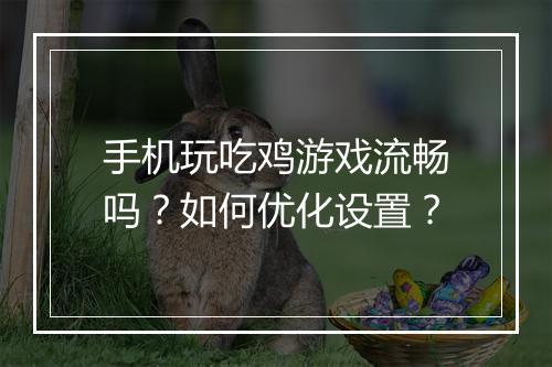 手机玩吃鸡游戏流畅吗？如何优化设置？