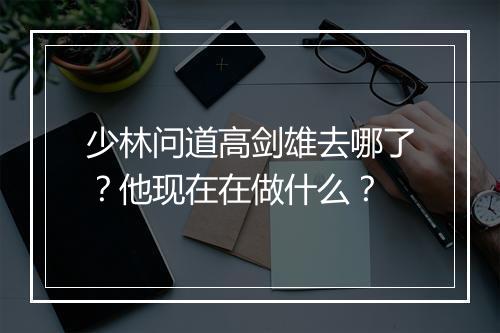 少林问道高剑雄去哪了?他现在在做什么?