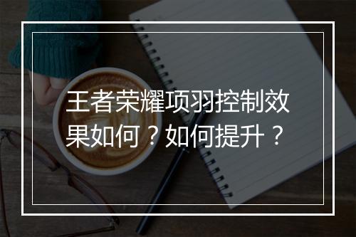 王者荣耀项羽控制效果如何？如何提升？