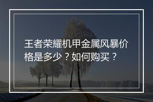 王者荣耀机甲金属风暴价格是多少？如何购买？