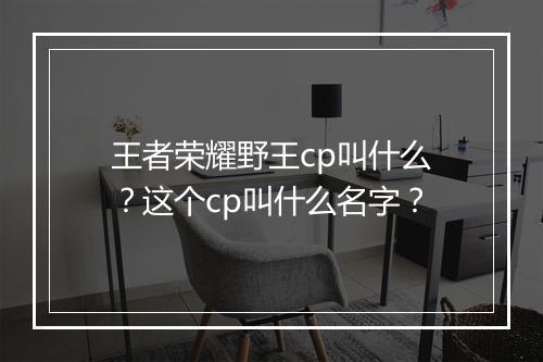 王者荣耀野王cp叫什么？这个cp叫什么名字？