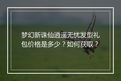 梦幻新诛仙逍遥无忧发型礼包价格是多少？如何获取？