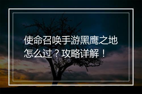 使命召唤手游黑鹰之地怎么过？攻略详解！