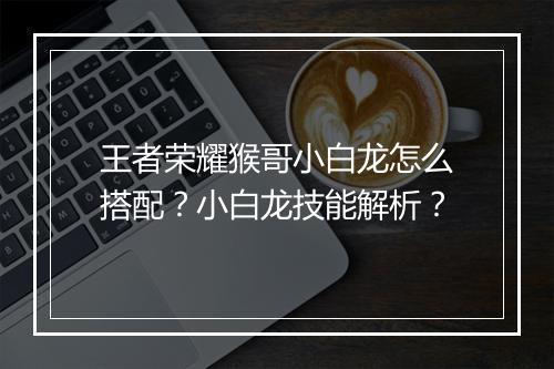 王者荣耀猴哥小白龙怎么搭配？小白龙技能解析？