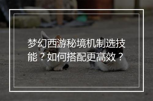 梦幻西游秘境机制选技能？如何搭配更高效？