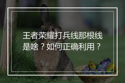 王者荣耀打兵线那根线是啥？如何正确利用？