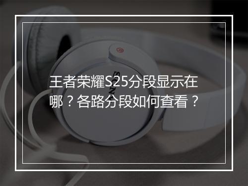 王者荣耀S25分段显示在哪？各路分段如何查看？
