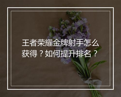王者荣耀金牌射手怎么获得？如何提升排名？